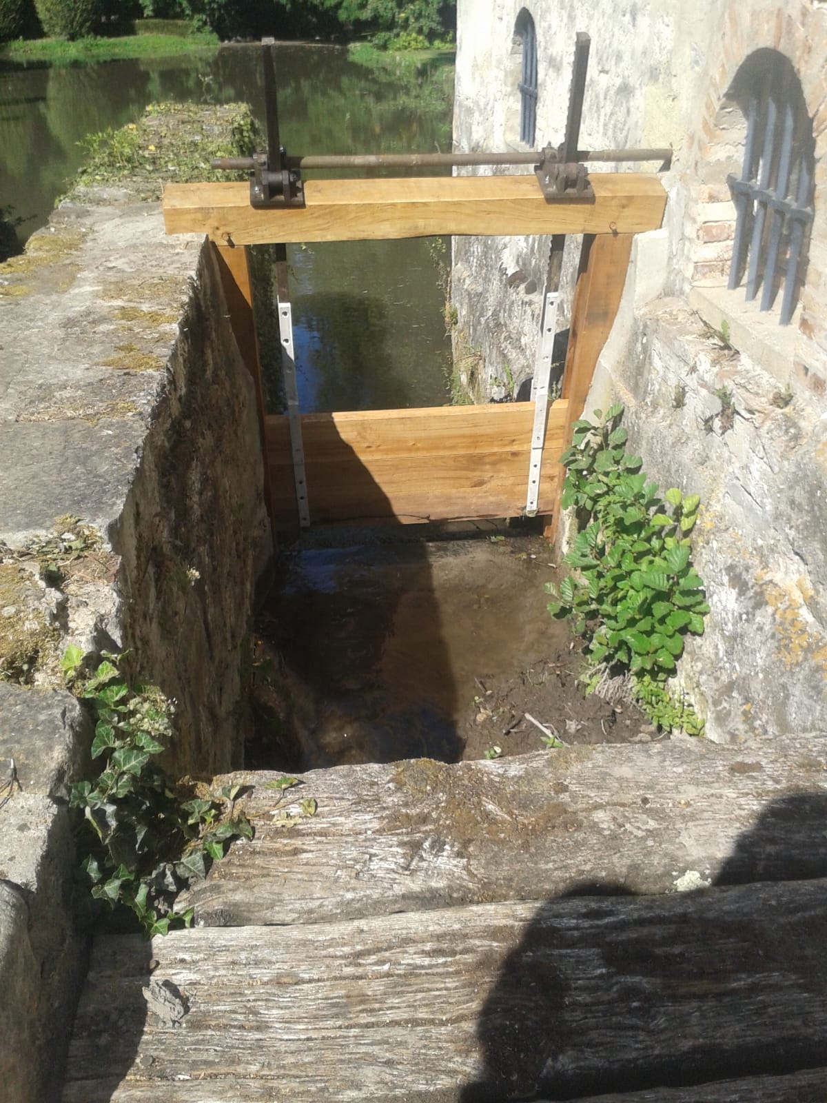 Photo 2025 06 13 15 20 03