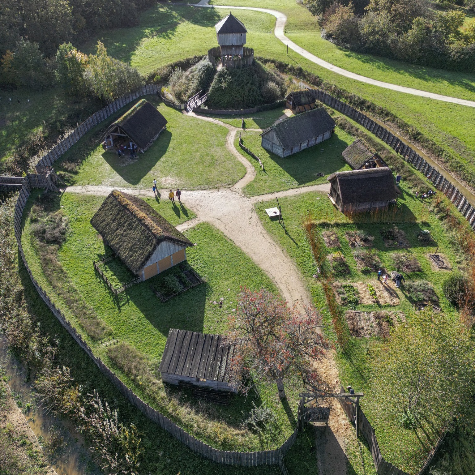 Motte-castrale-Verrieres1