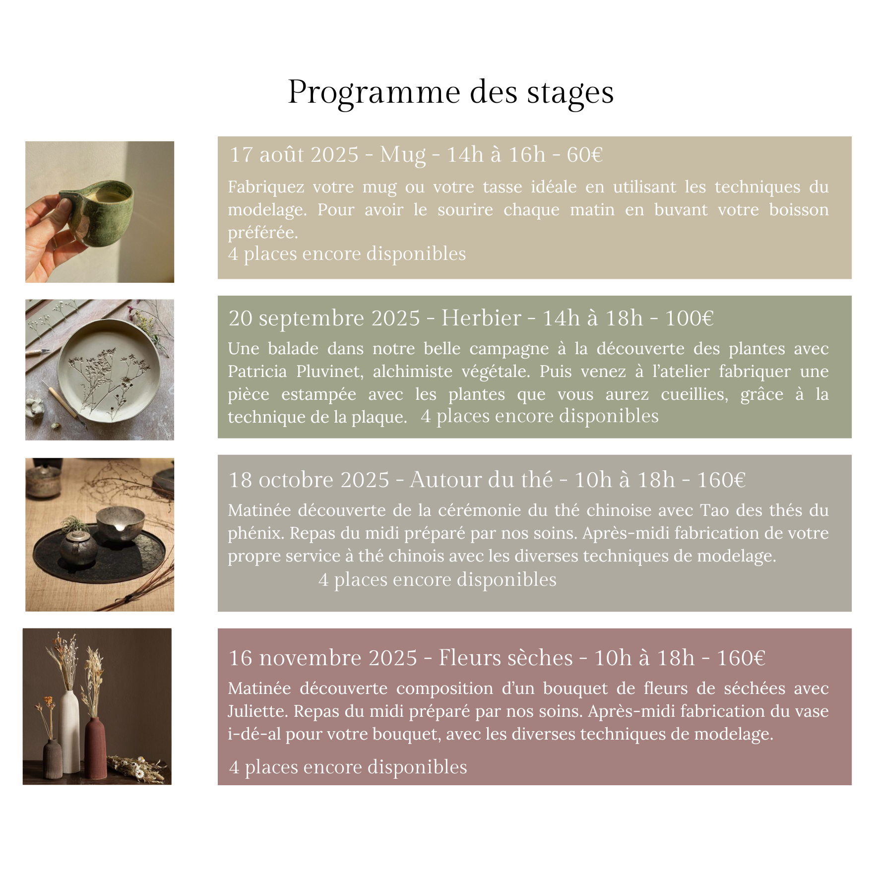 Programme des stages newsletter 15 x 15 cm 