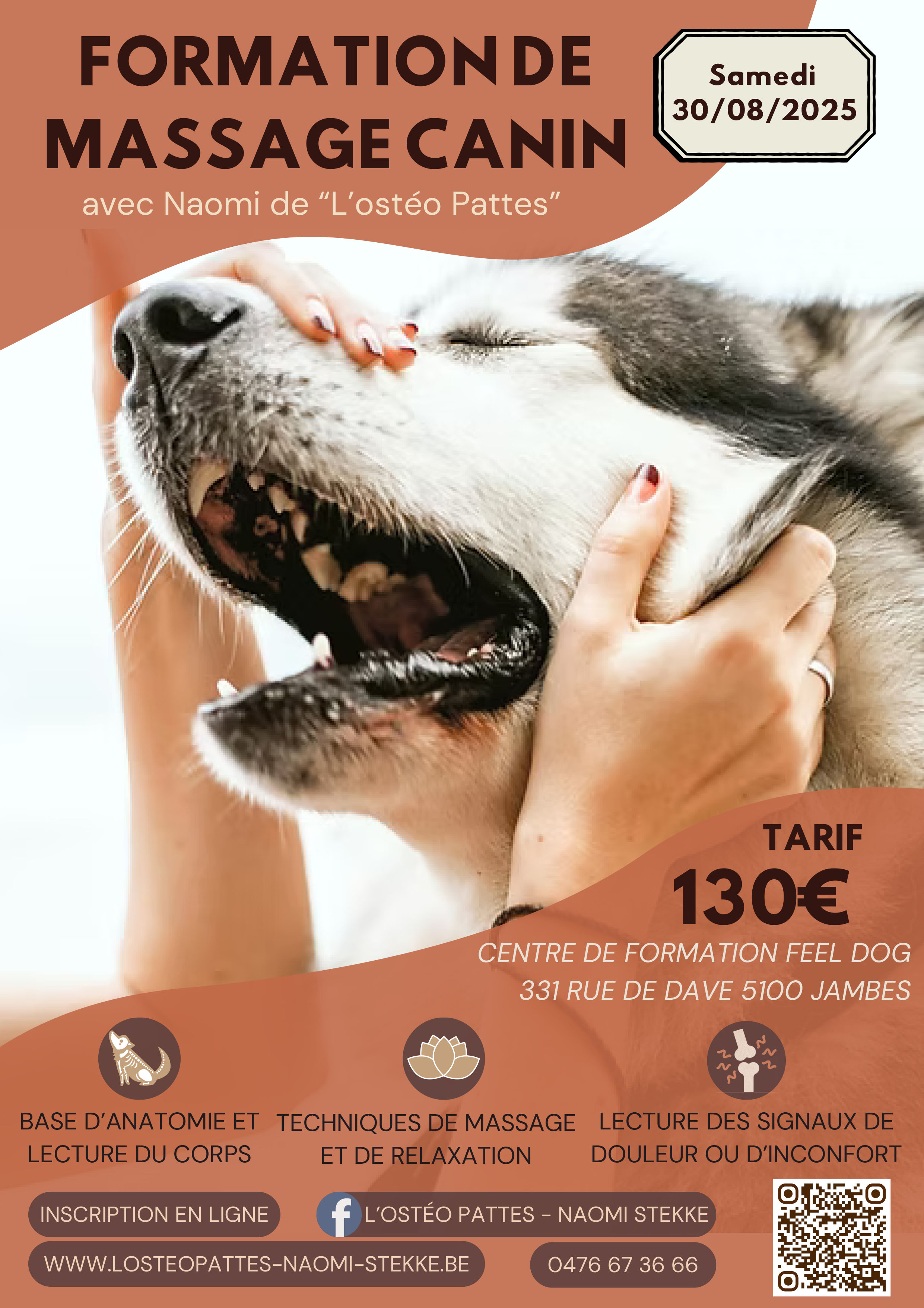 Massage-canin