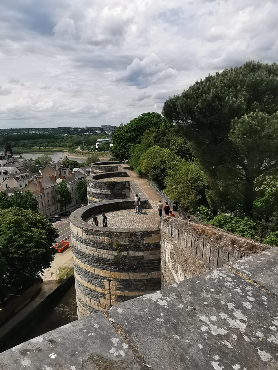 Photo 2025 06 21 08 29 31