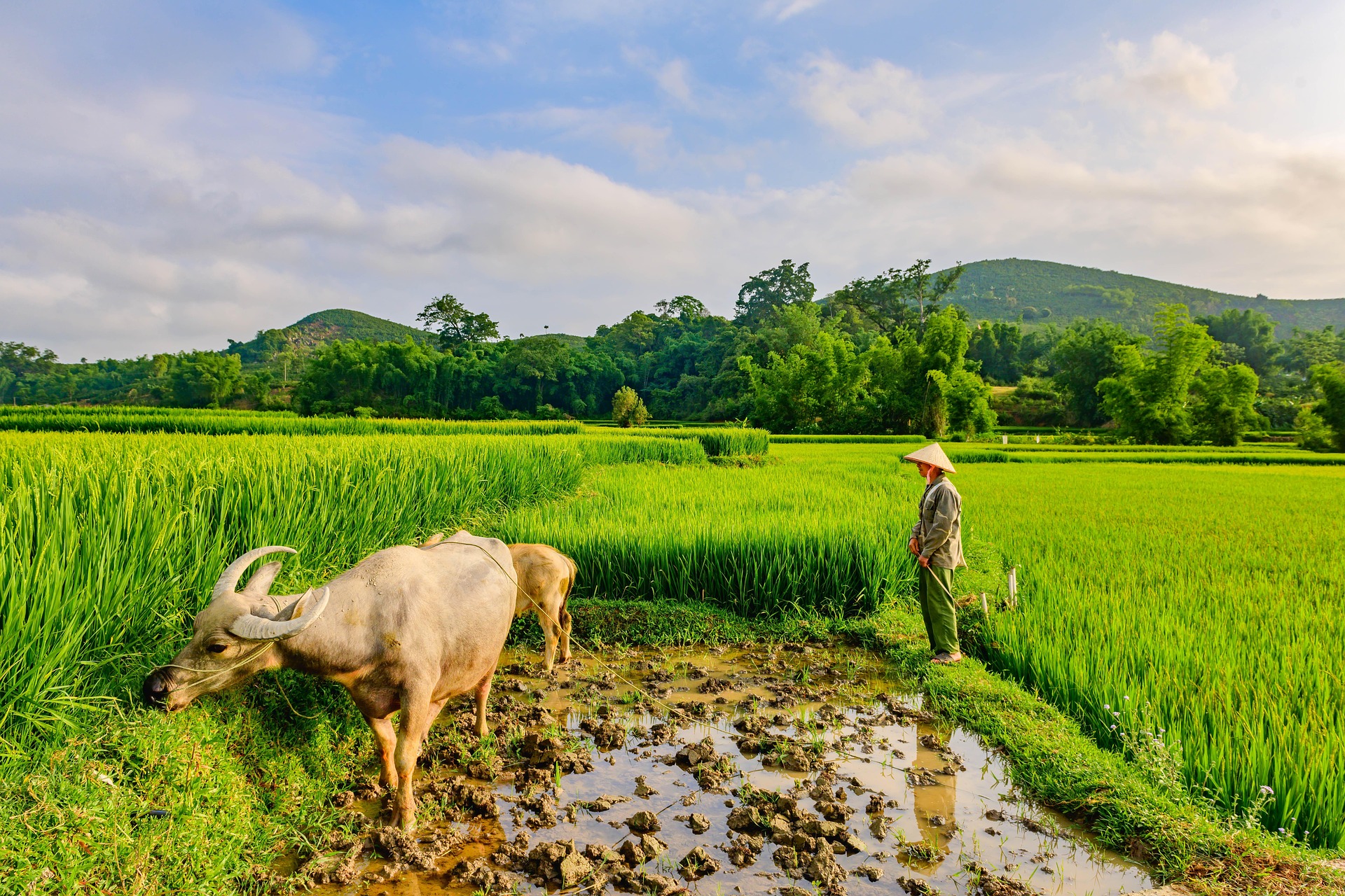 Inspiration 3 laos