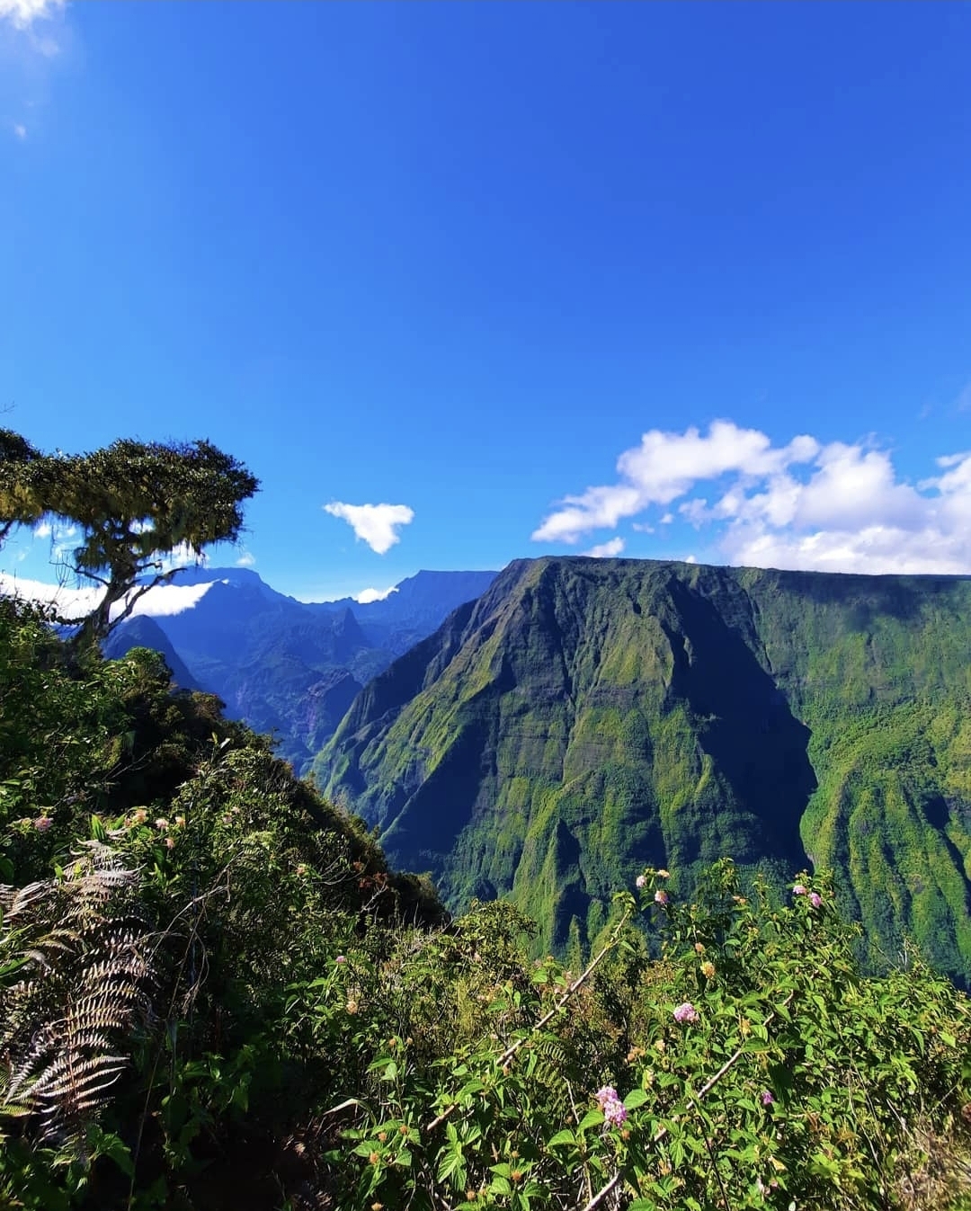 Screenshot 20250626 131016 Instagram