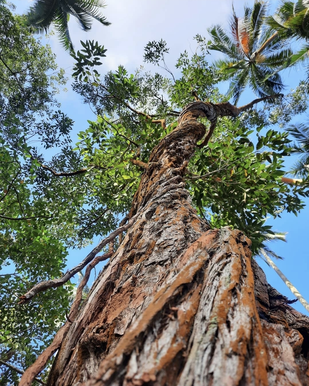 Screenshot 20250626 131218 Instagram