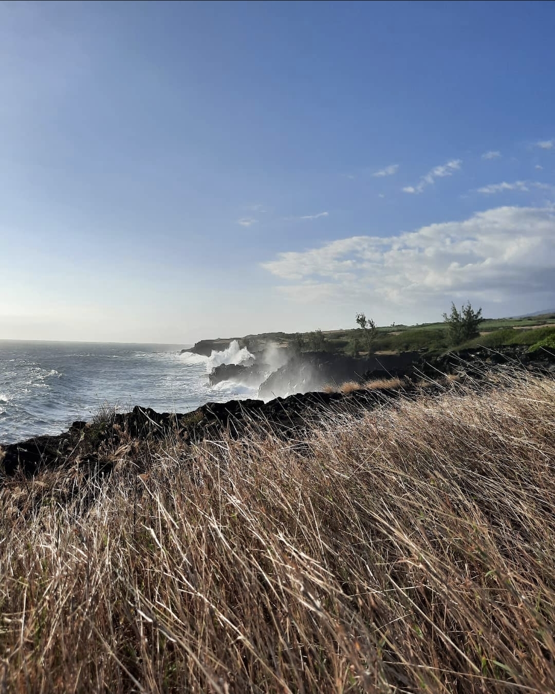 Screenshot 20250626 131303 Instagram