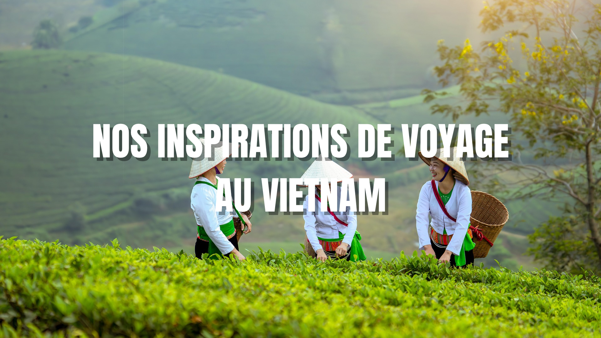 Photo-nos-inspirations-vietnam