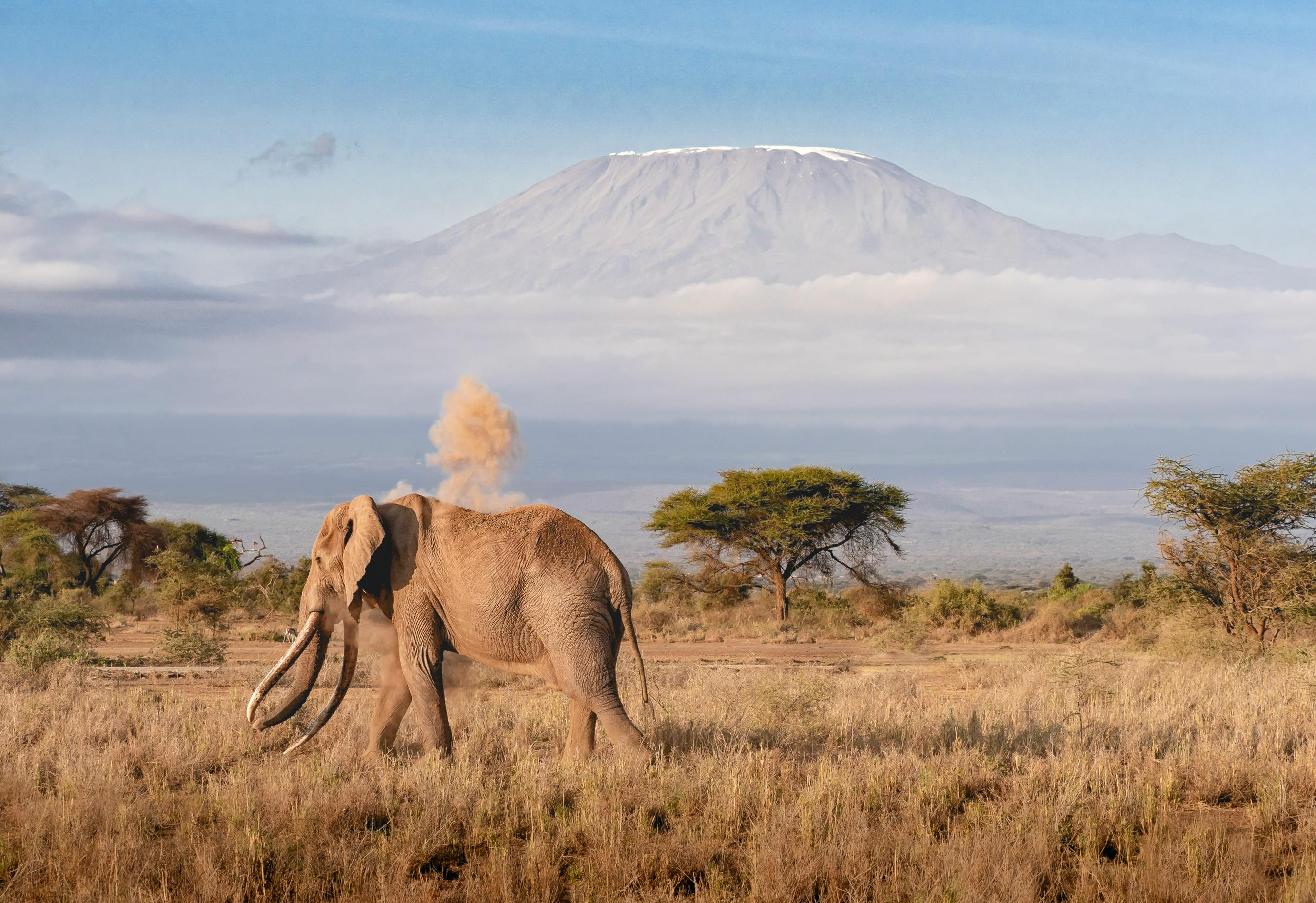 Photo-page-destination-tanzanie
