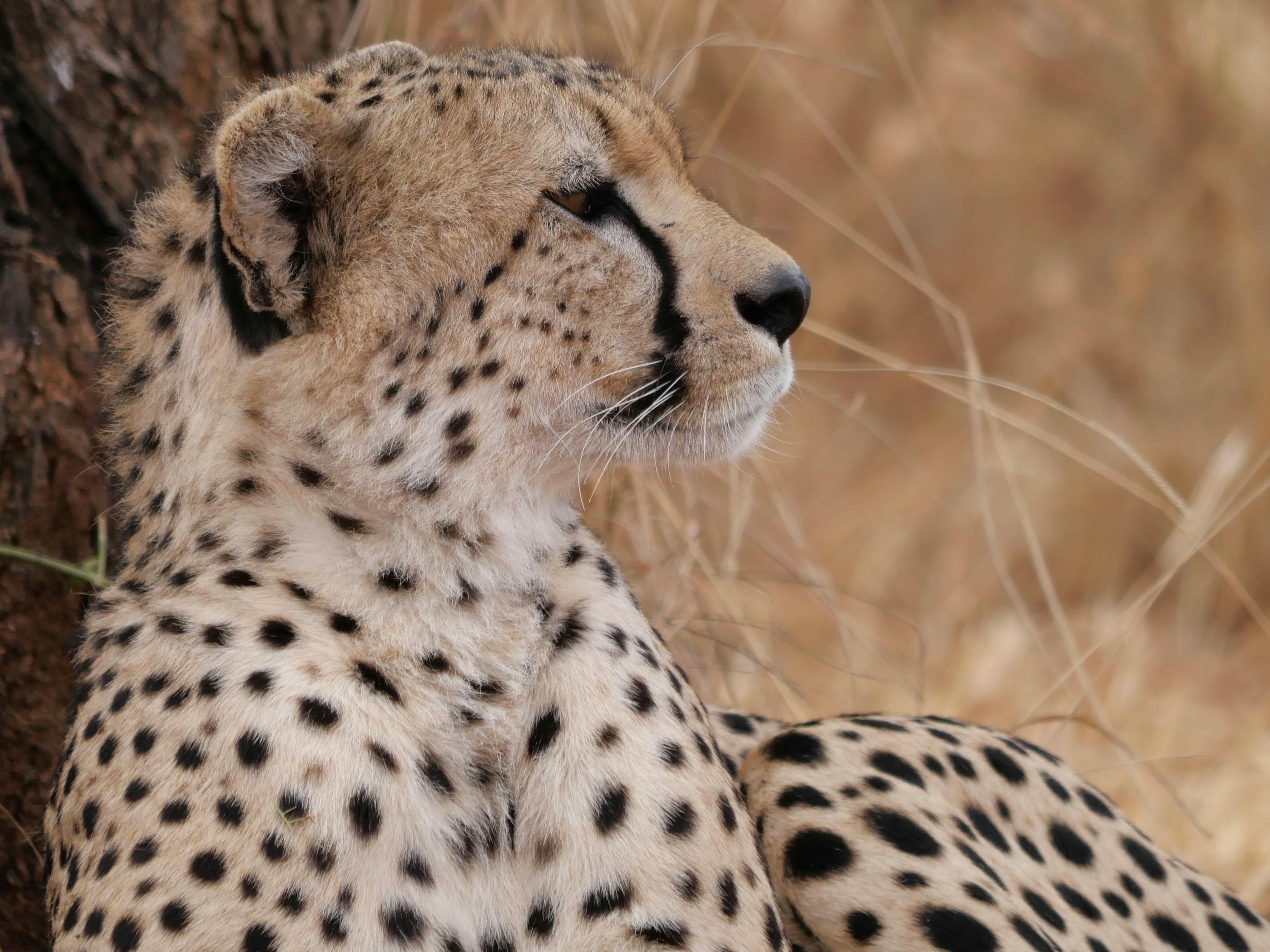 Nos-insspirations-tanzanie-photo-3