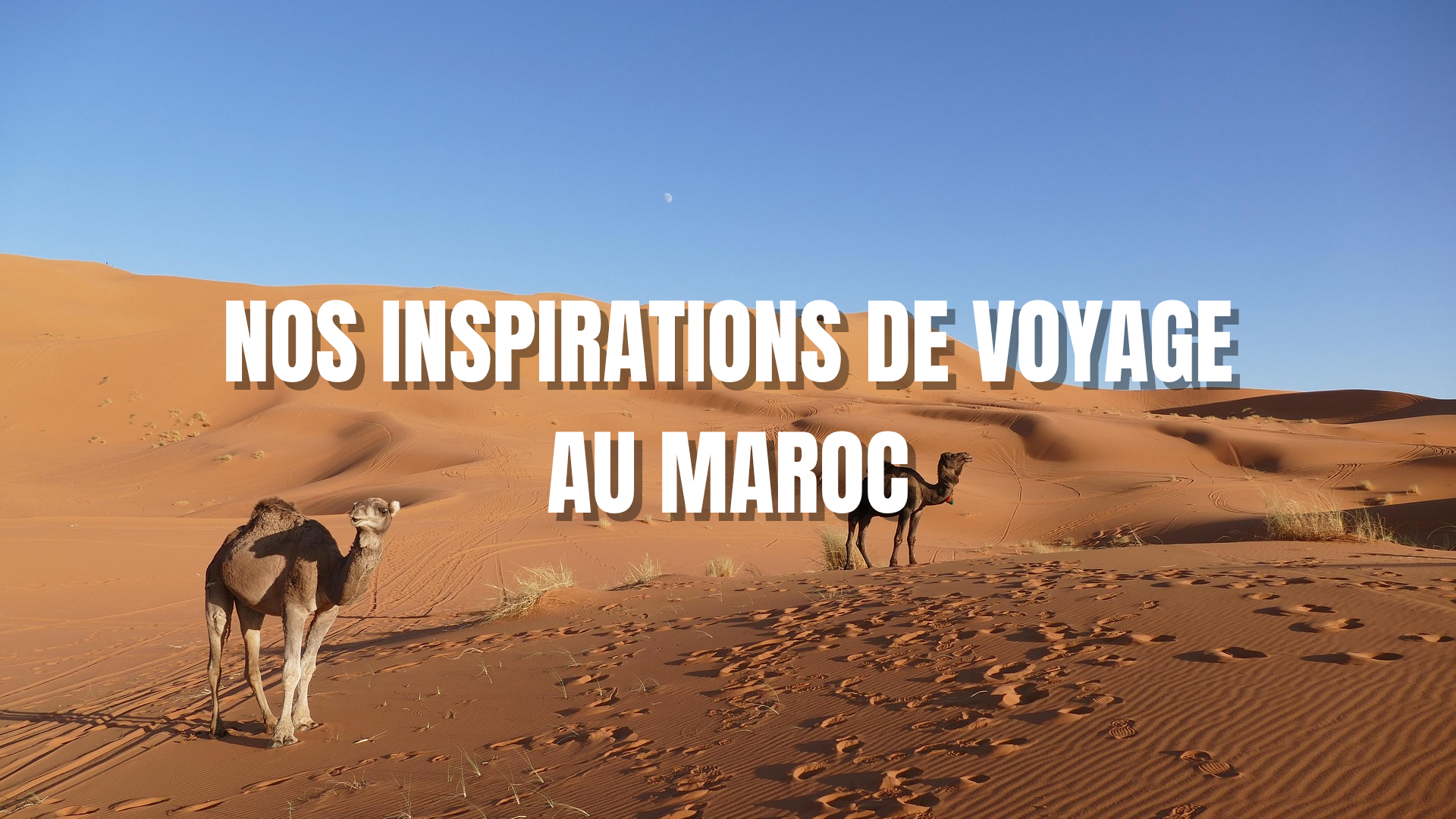 Photo-nos-inspirations