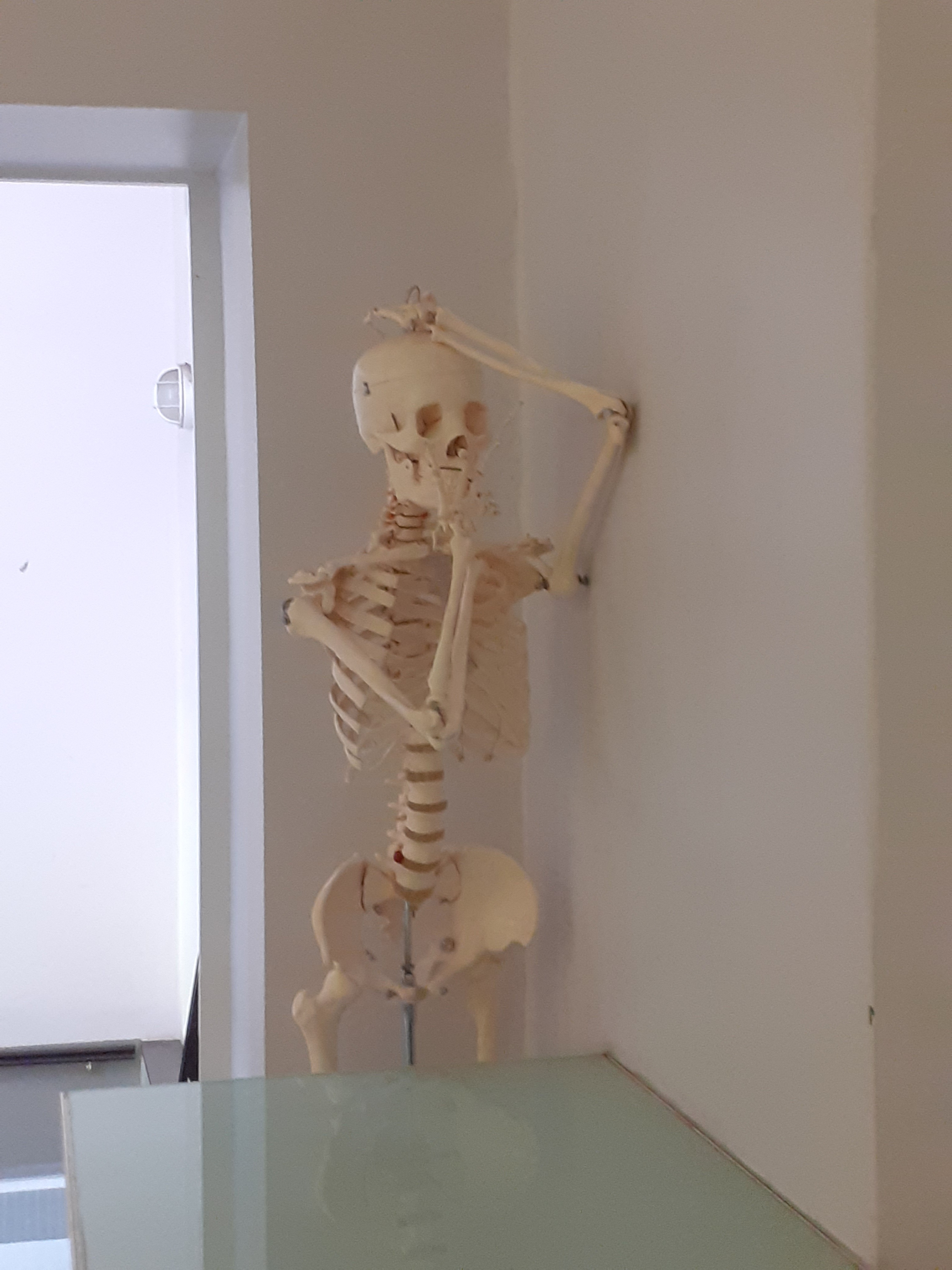 20250630 101932