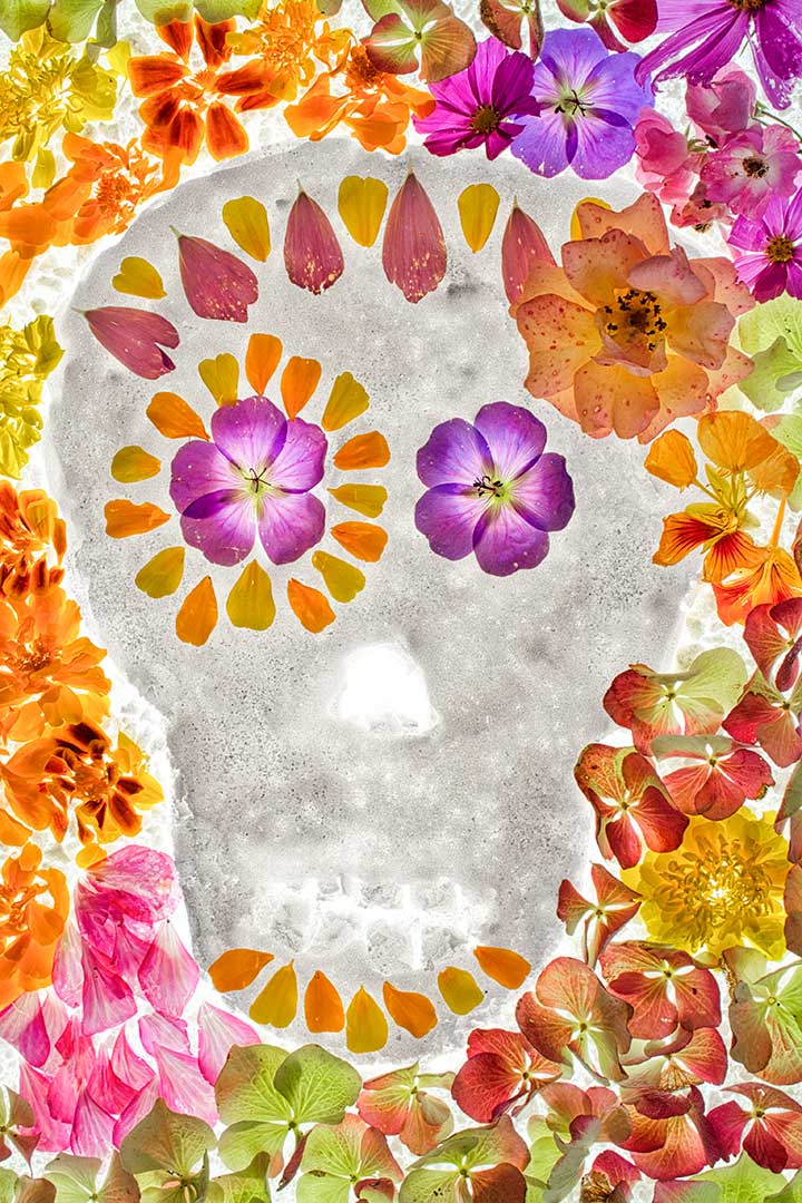 Hal fete morts