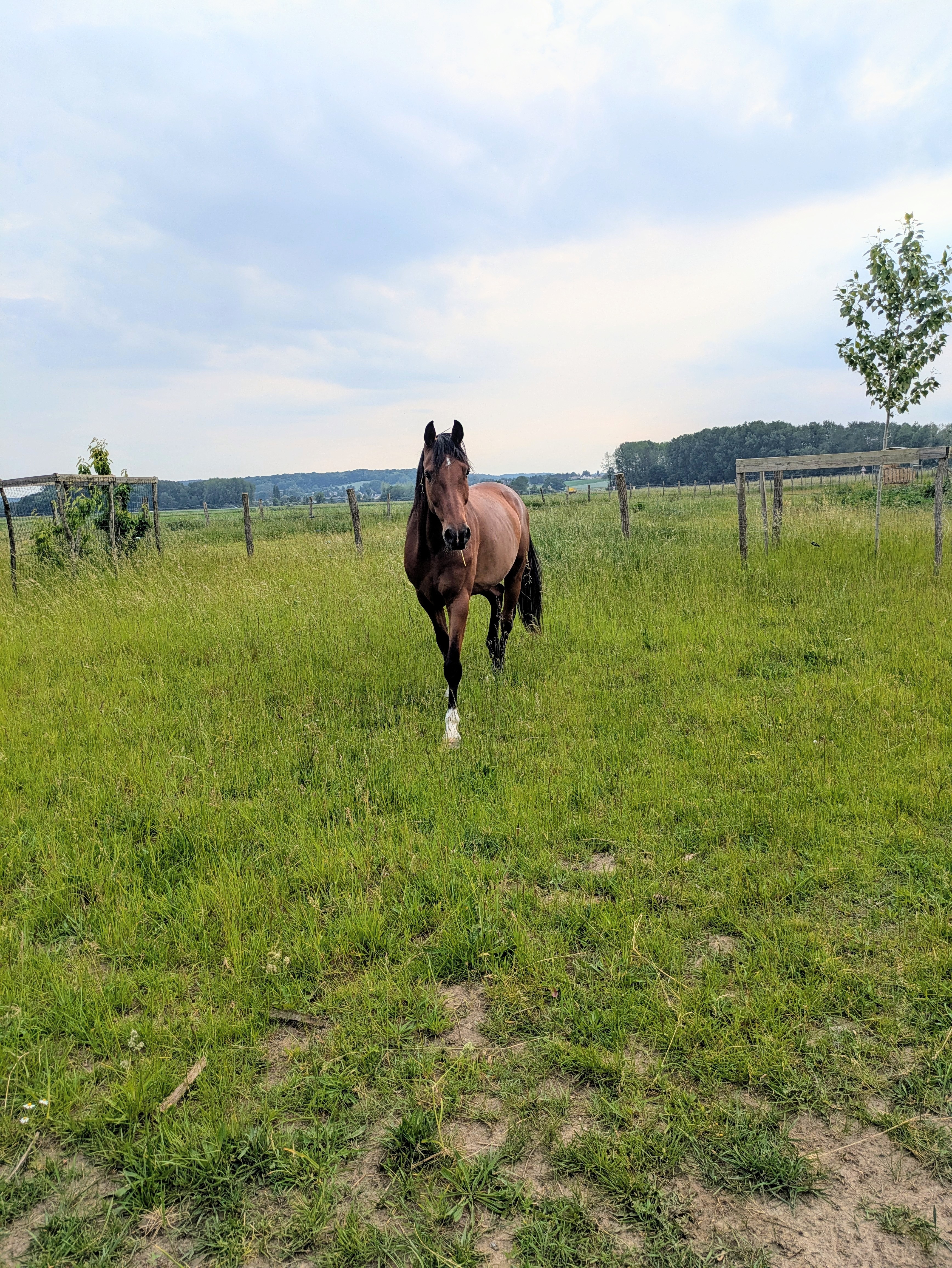 Pxl 20250601 171155513 mp 3