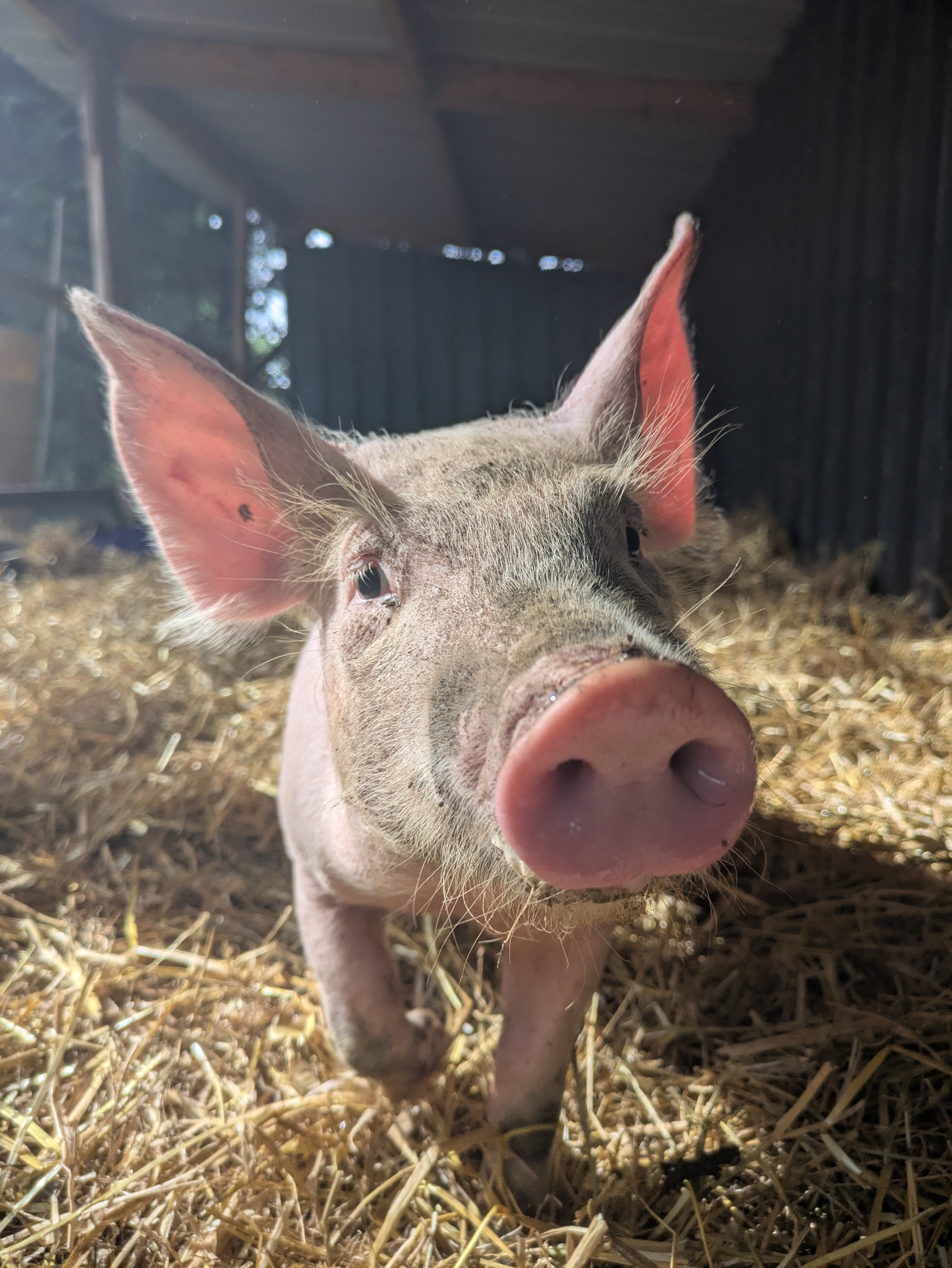 Pxl 20250525 161626049