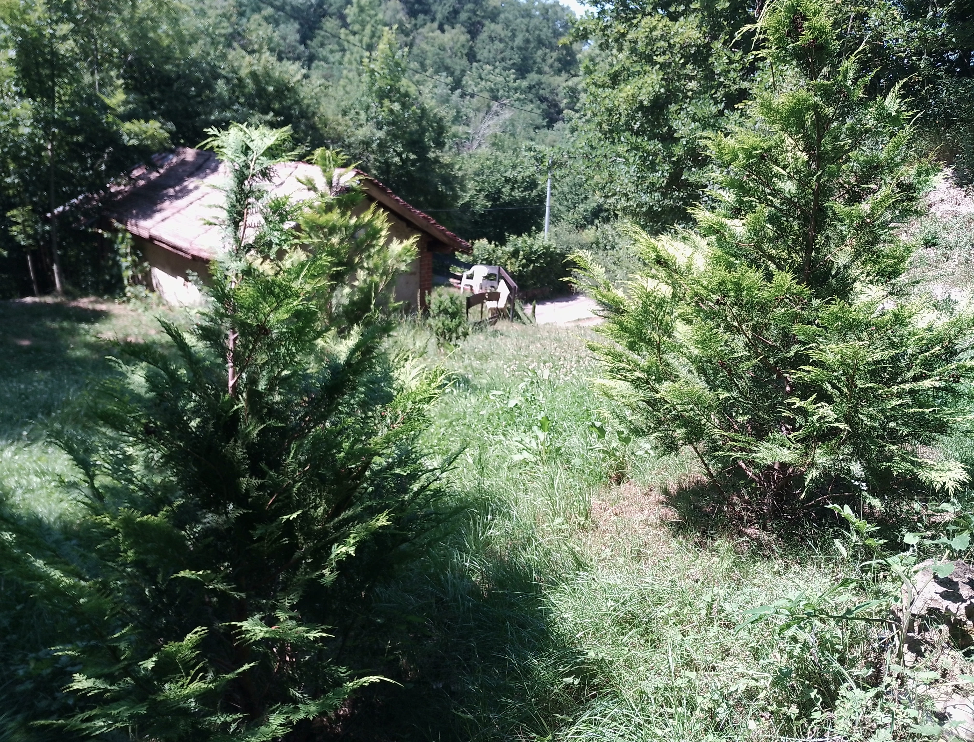 Img 20250619 153341 mp