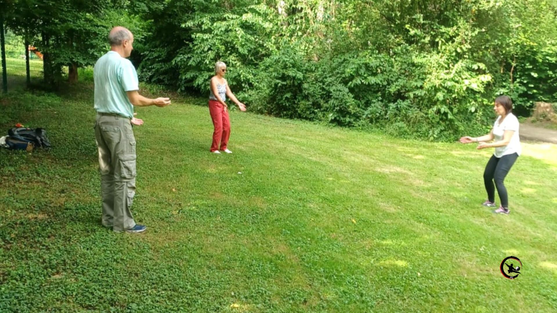 Qi gong tai chi domicile isere bourgoin artdumieuxetre 2025