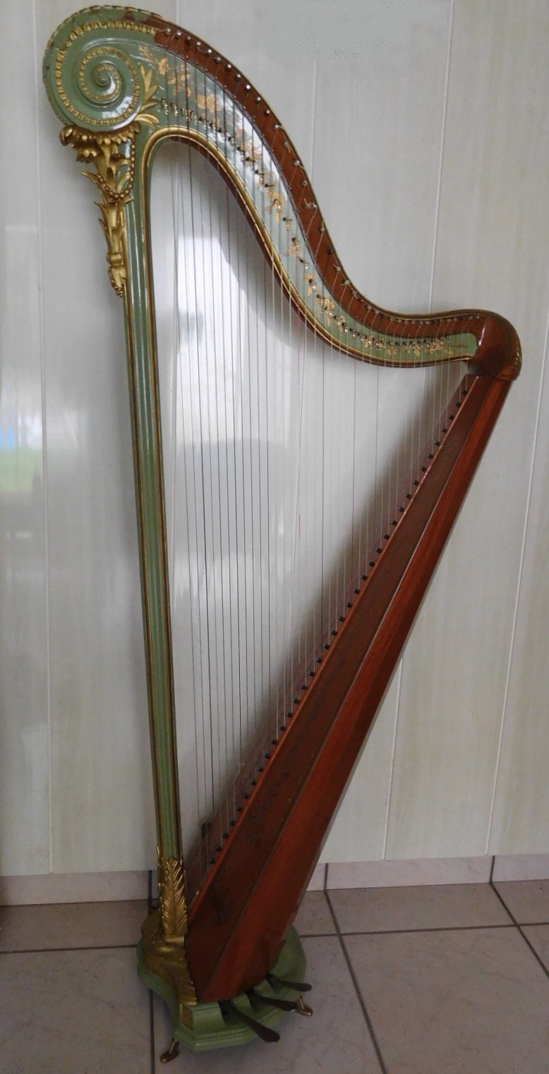 DSCN1596
