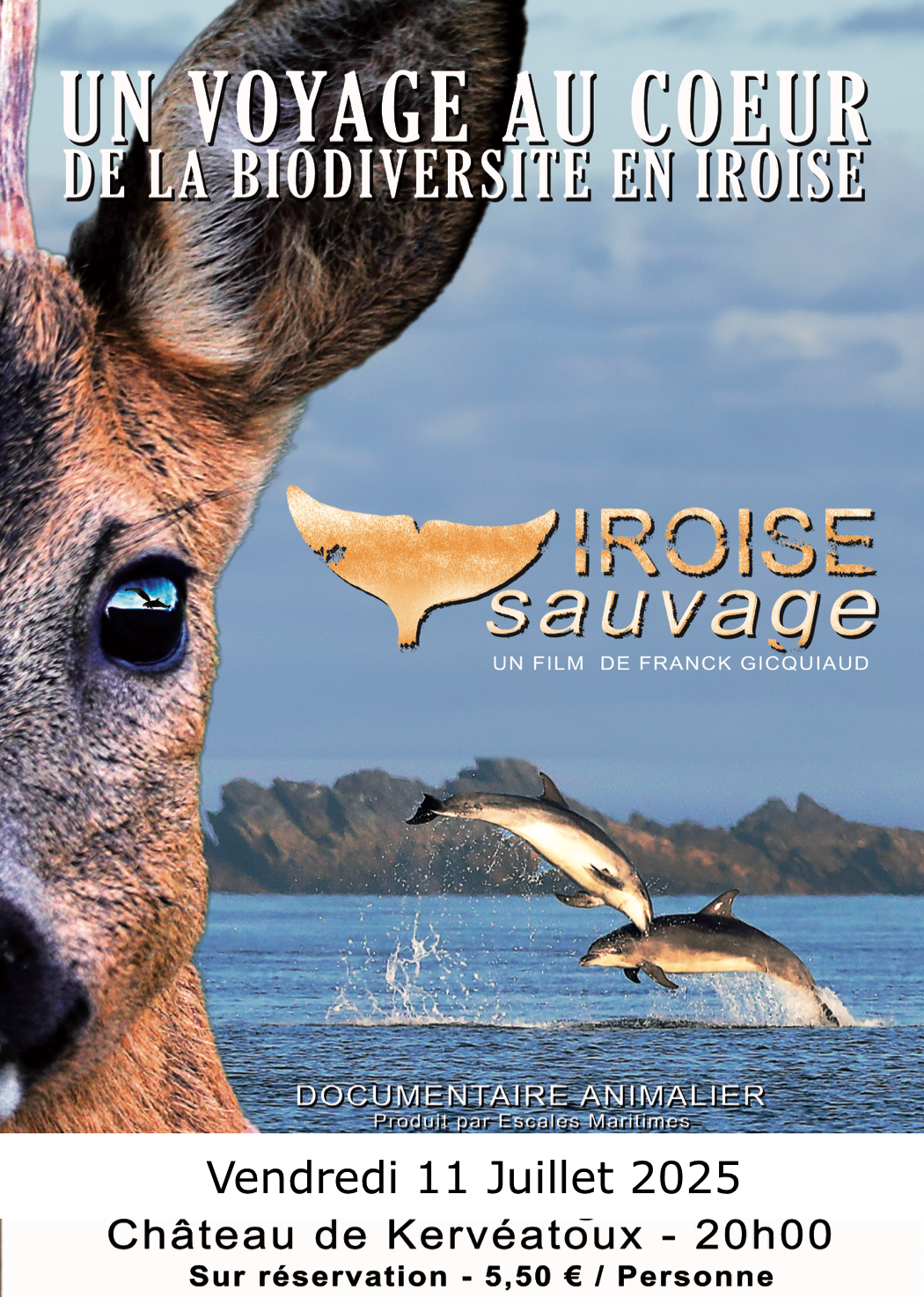 Affiche-iroisesauvage-11Juillet25