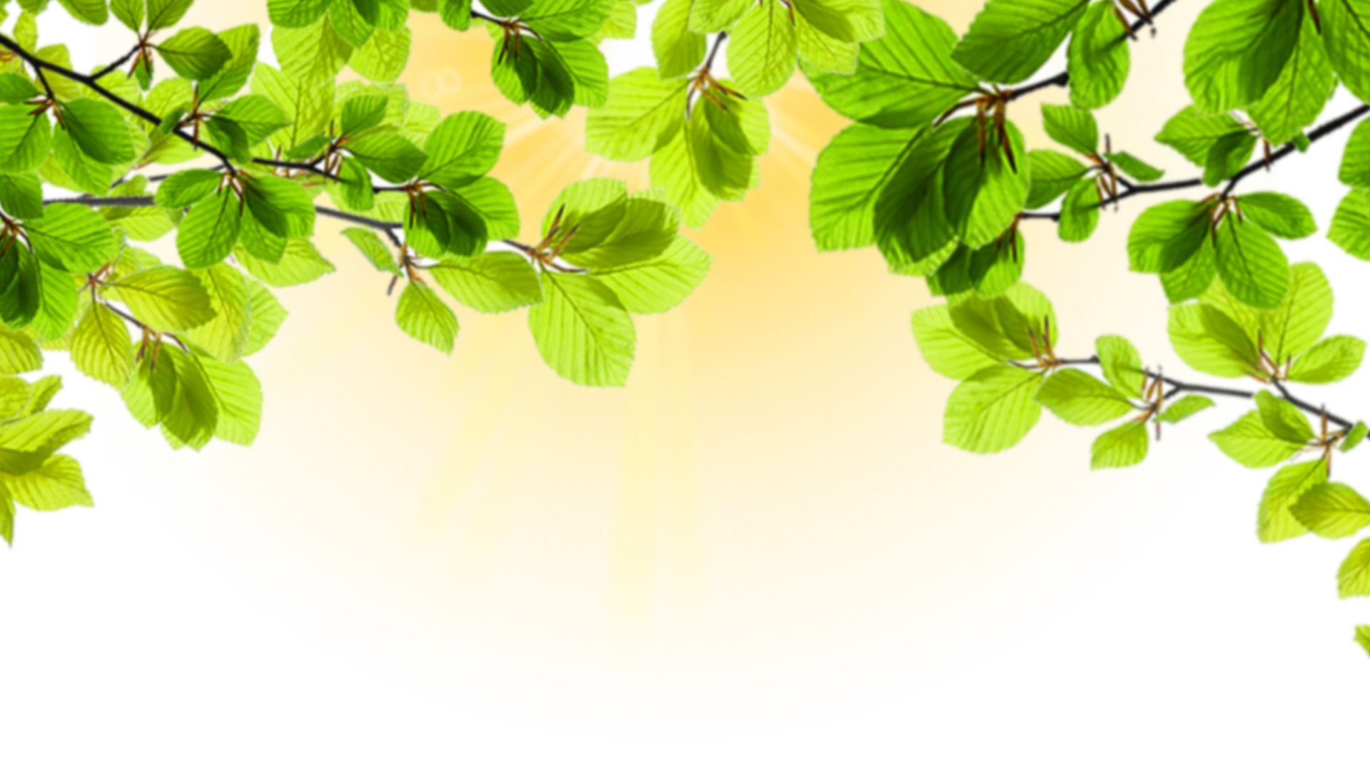 -Pngtree-leaves-light-effect-spring-nature 7252977