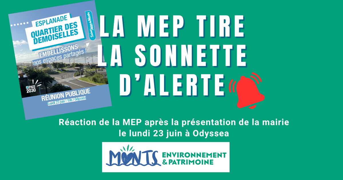 Embellissement Esplanade de la Mer, la MEP tire la sonnette d'alerte