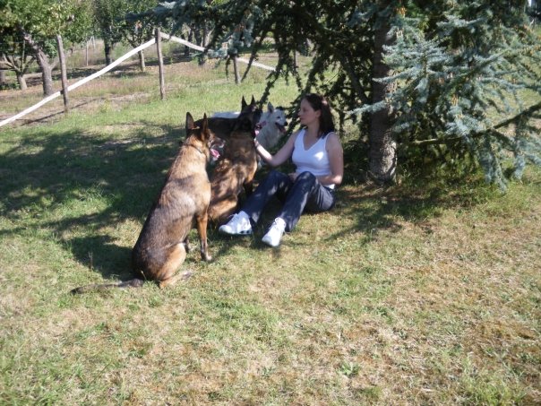 Karine Bigot, éducateur canin, avec ses 4 chiens (3 Malinois, 1 Border Collie) près du Mans (72) – moment de détente.