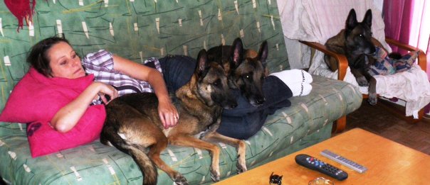 Karine Bigot, bénévole en éducation canine à Argenteuil, chez elle à Épinay-sur-Seine (93), avec ses Malinois – moment de complicité.