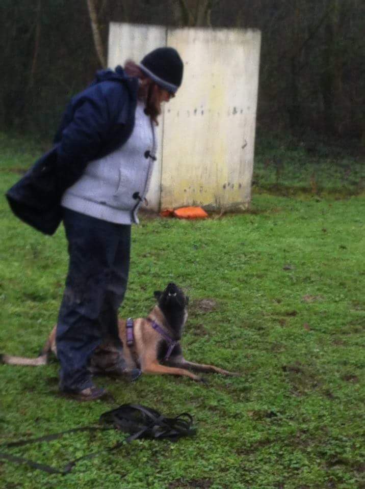 Exercice de eye contact avec la Malinoise de Karine Bigot, éducateur canin à Écouen (Val-d’Oise, 95), pour renforcer la concentration et la relation maître-chien.