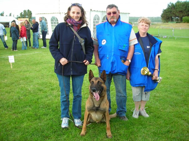 Malinois de l’élevage de Karine Bigot, éducateur canin à Persan (95), finaliste du Franc Ring 2008 parmi les 26 meilleurs chiens de France.