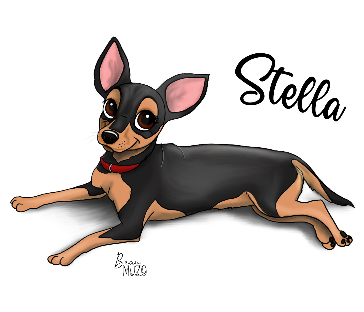 Pincher stella amaury