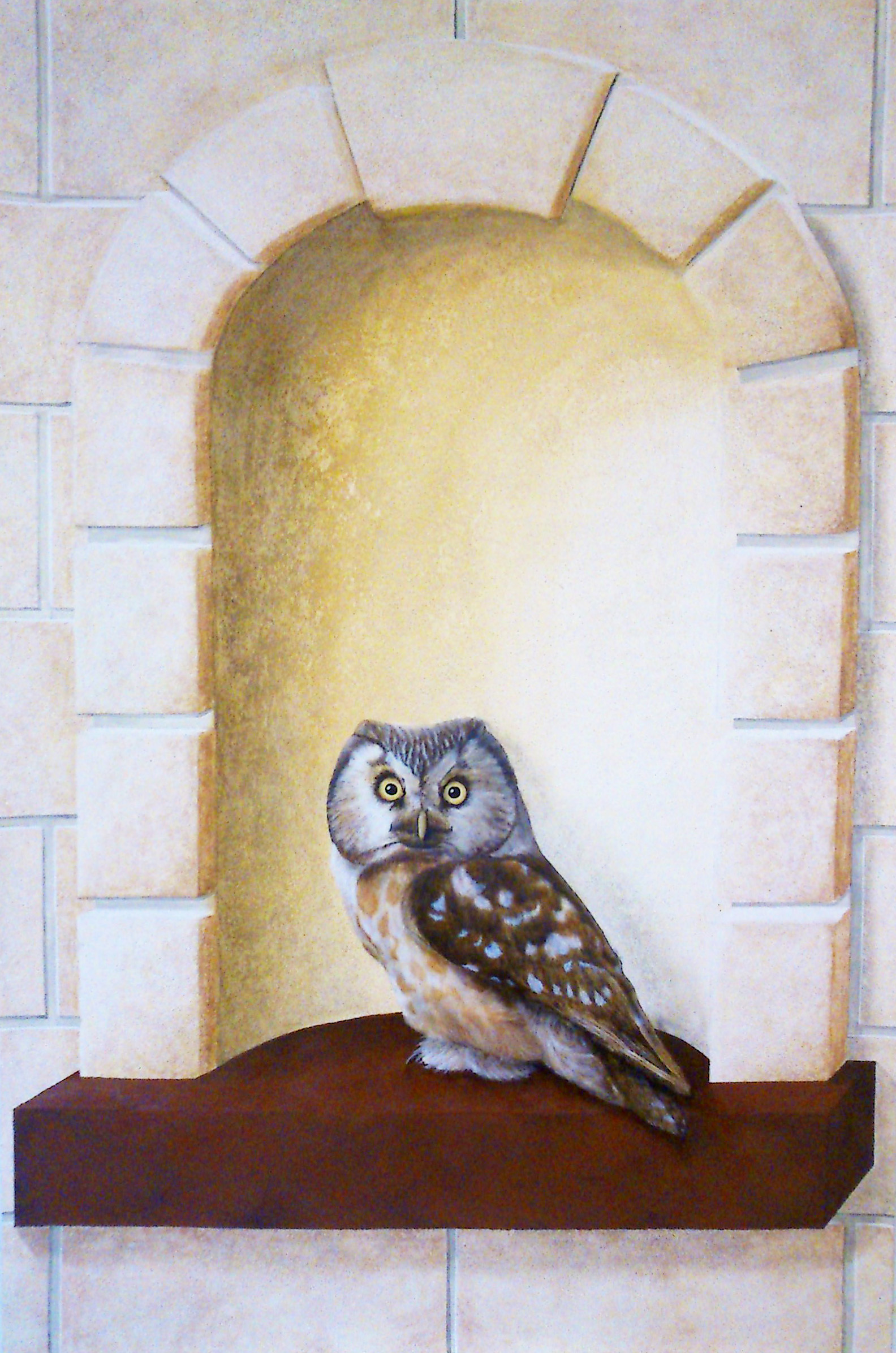 Trompe l oeil chouette fini