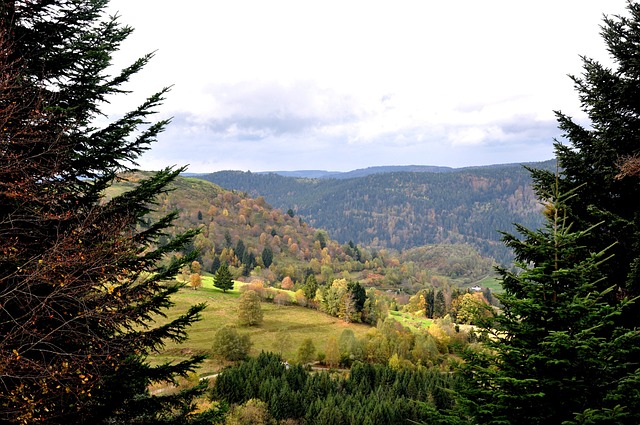 Fall-1051300 640