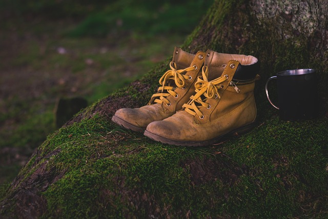 Boots-1638873 640