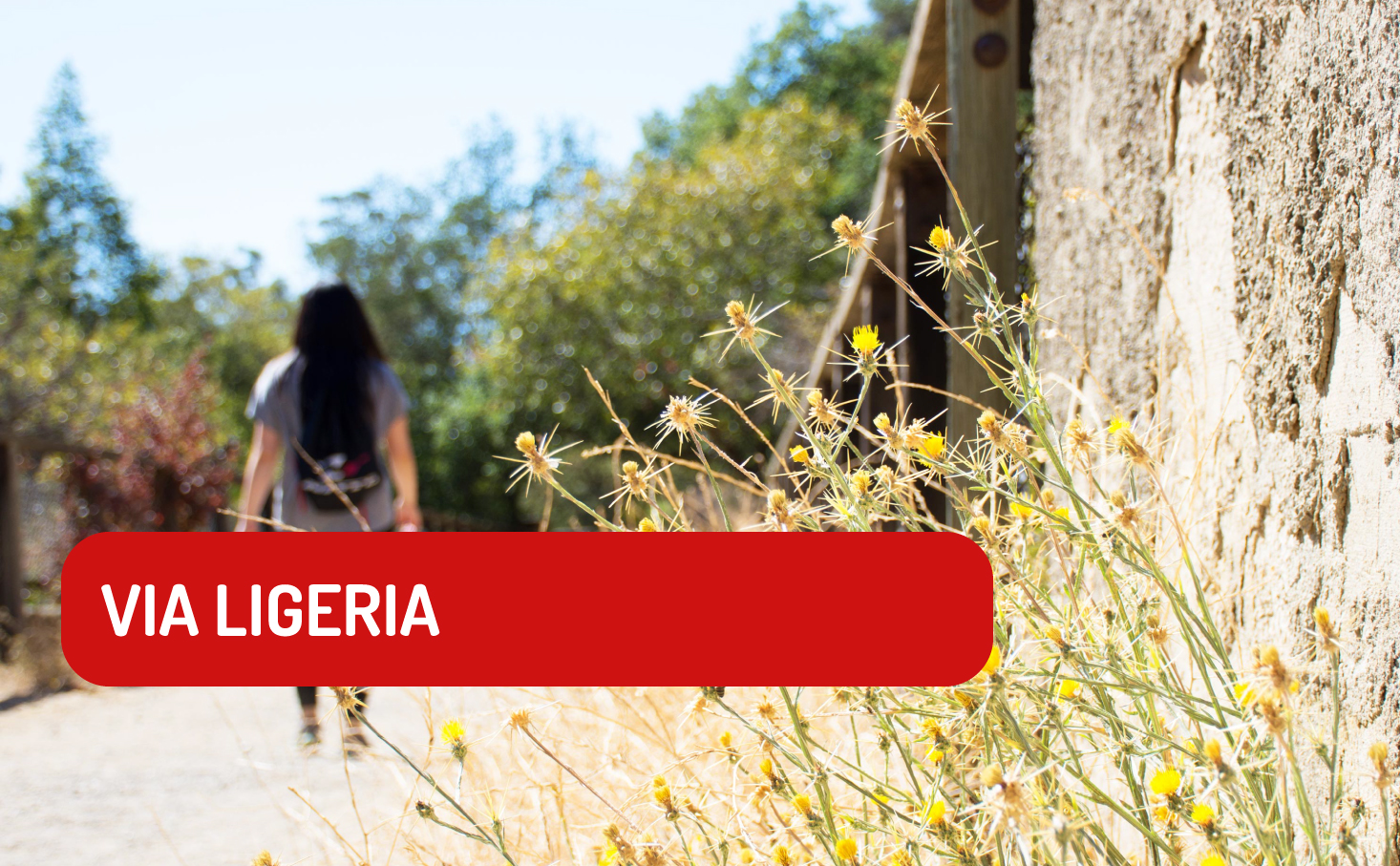 Via-Ligeria-Villefranche-sur-Cher