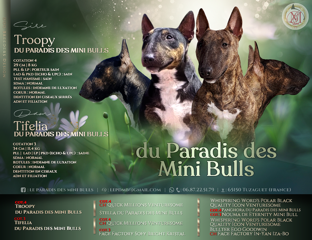 Troopy-x-Tifelia-mating-and-pedigree