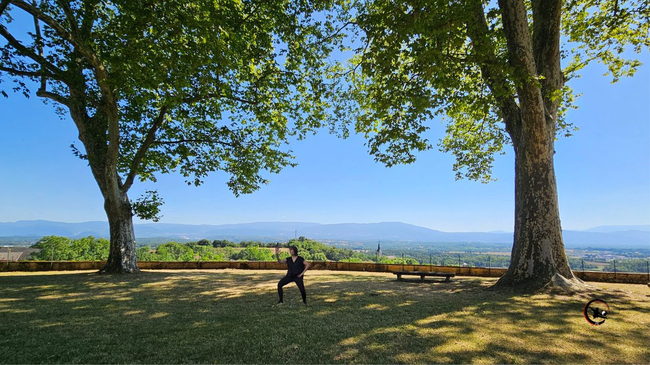 Qi Gong et Tai Chi en Entreprise à Bourgoin et Nord Isère : Des pratiques douces et efficaces