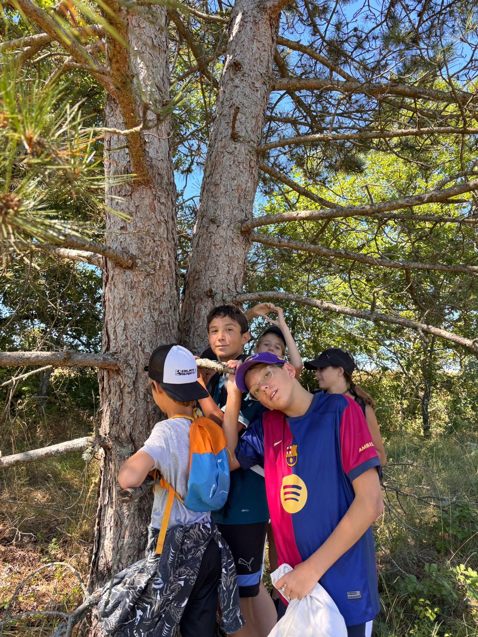 Whatsapp image 2025 07 16 at 12 13 15