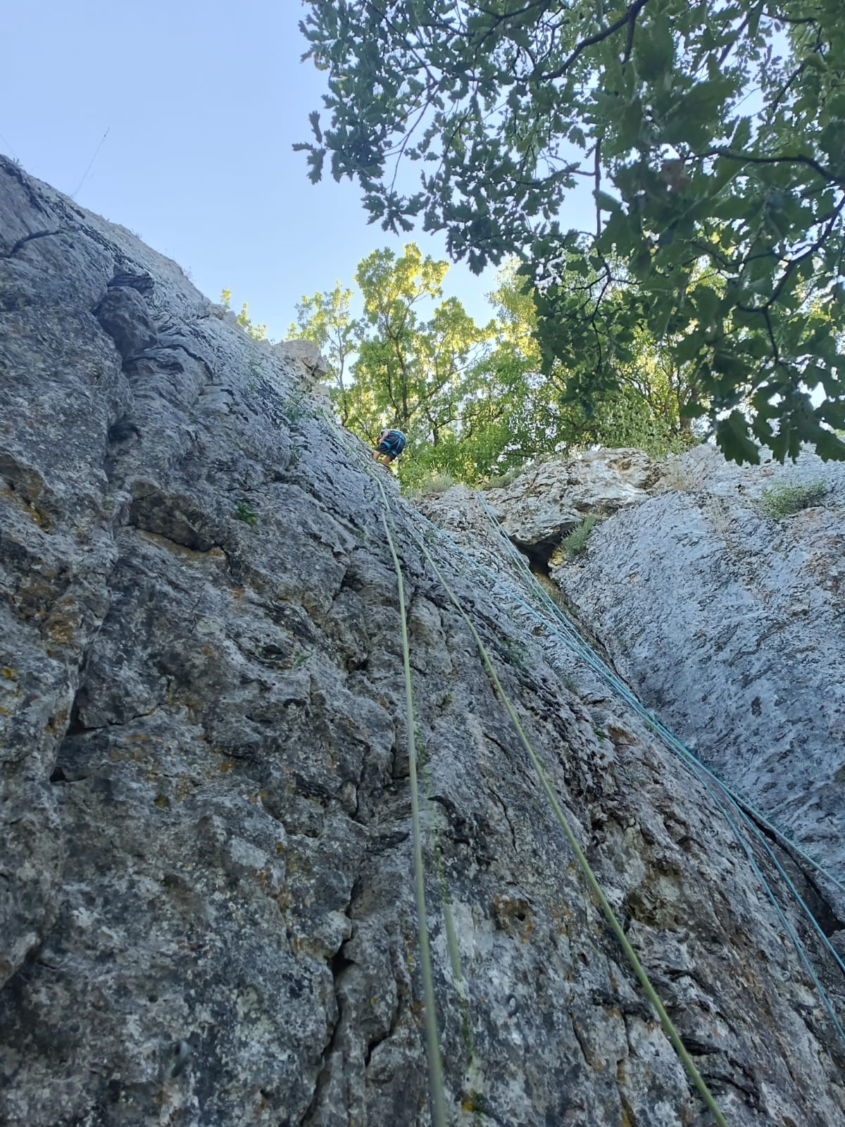 Escalade 3