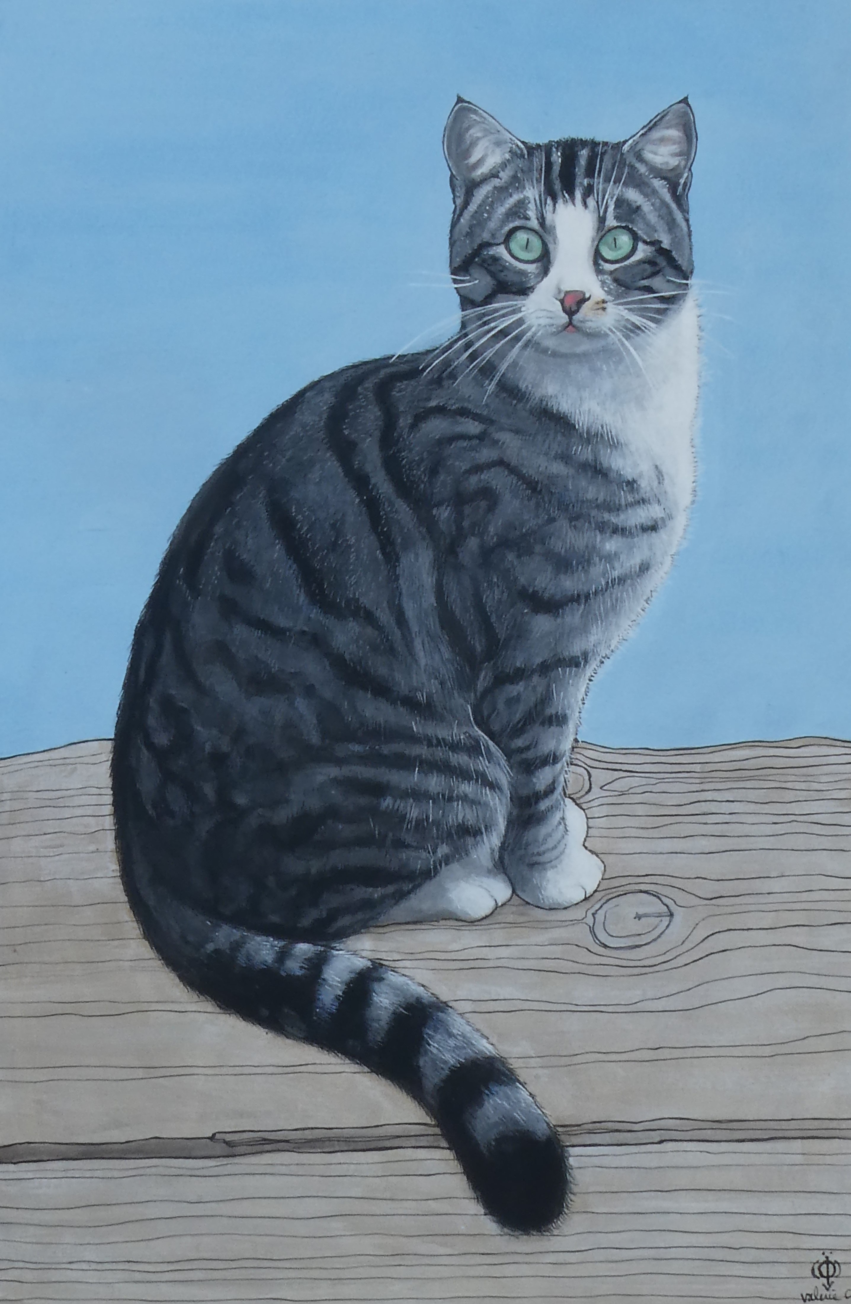 Chat gris 40x5