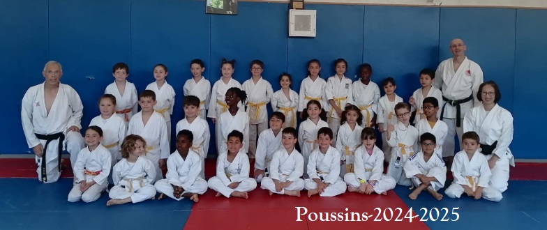 Poussins