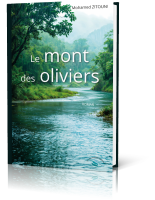 Montoliviers 3D