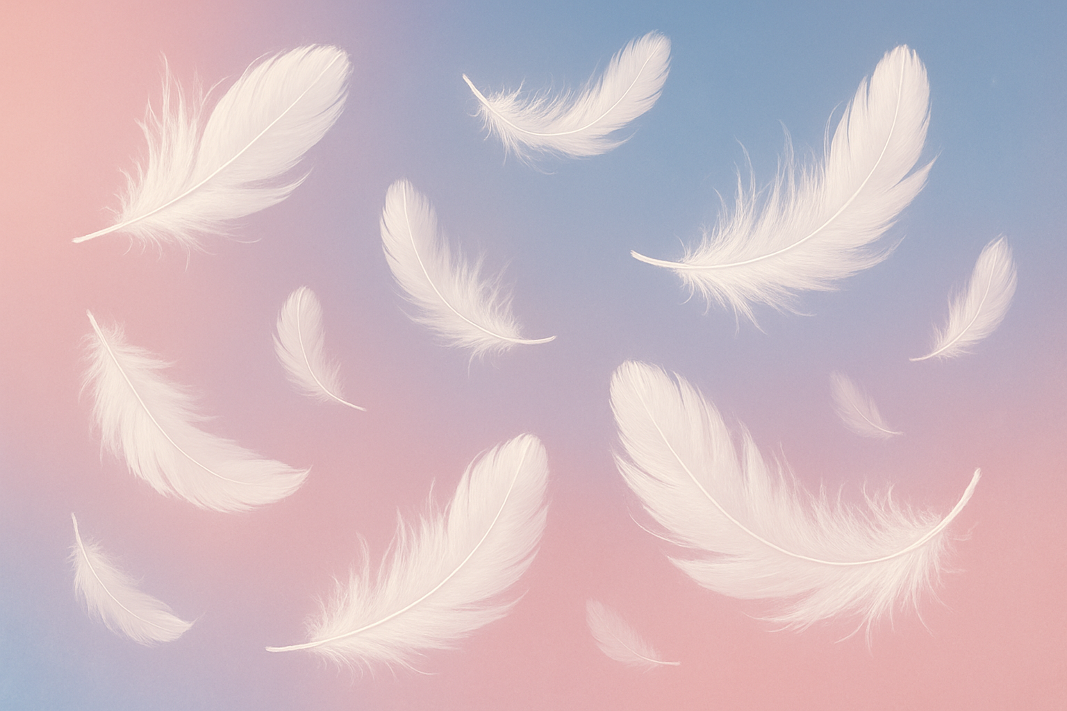 Plumes-qui-volent
