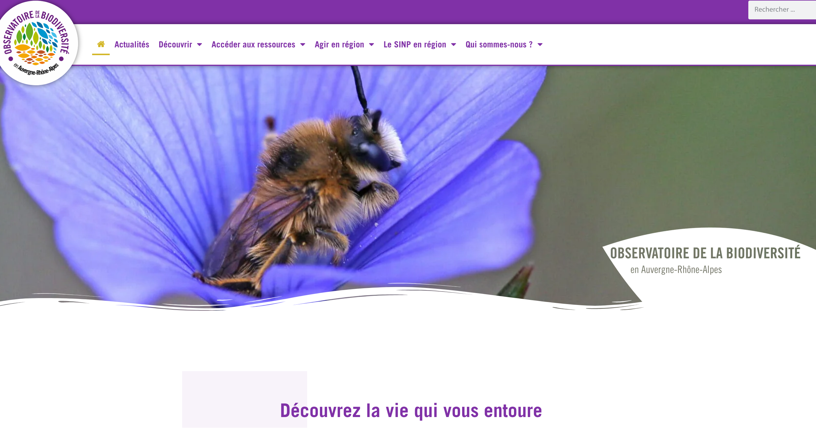 Centre de ressources biodiversité - arbre en ville - haies urbaines