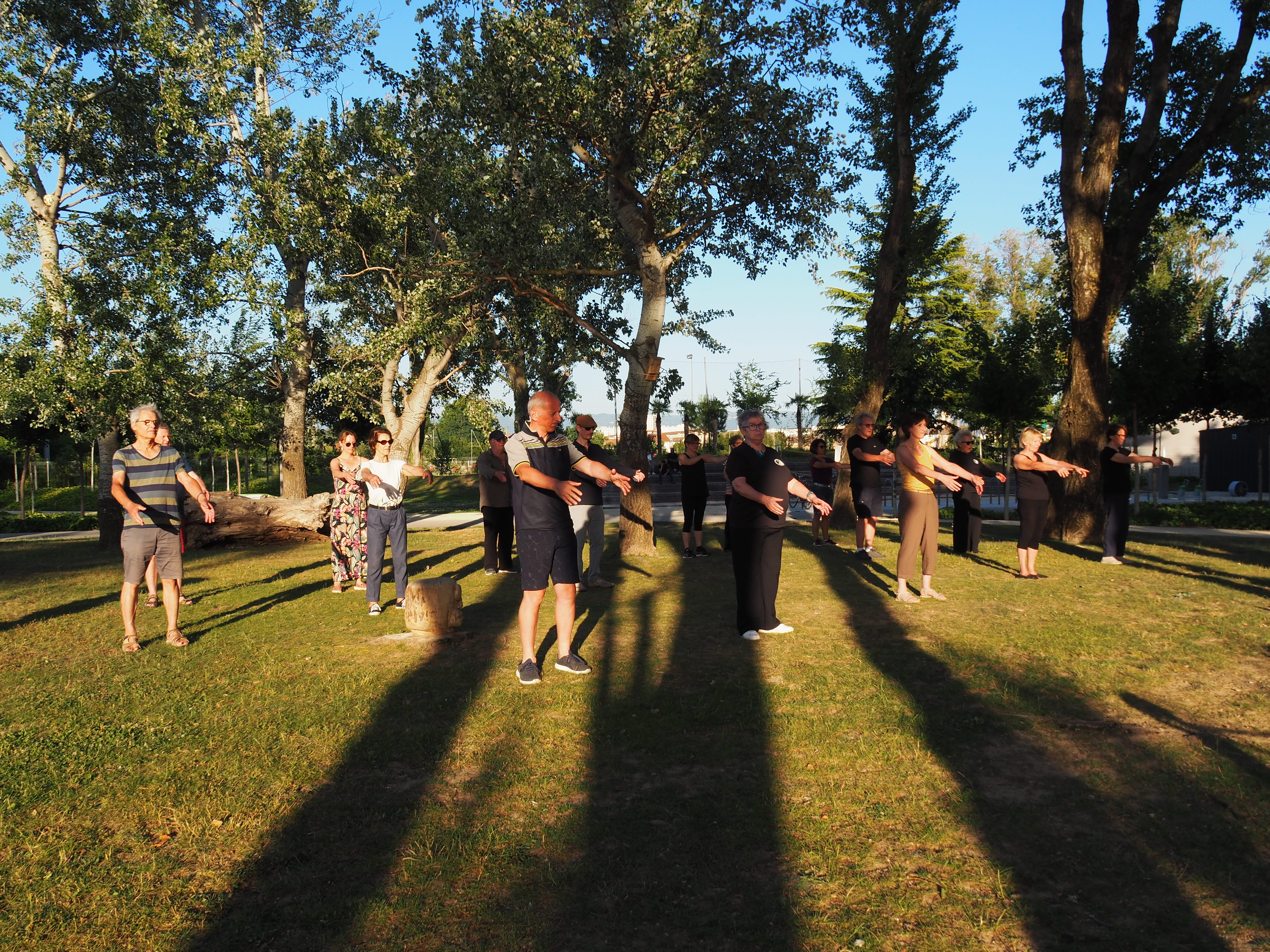 Bois de bambou Tai Chi lent