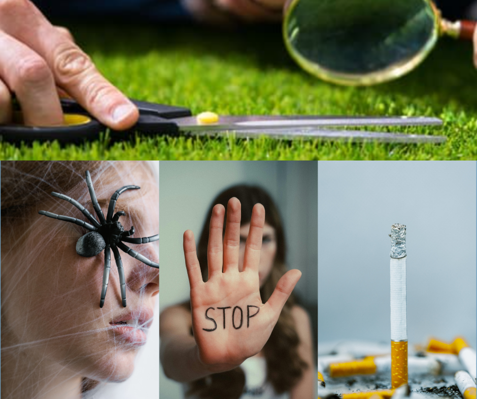 Comportements compulsifs : phobies, addictions, obsessions… 