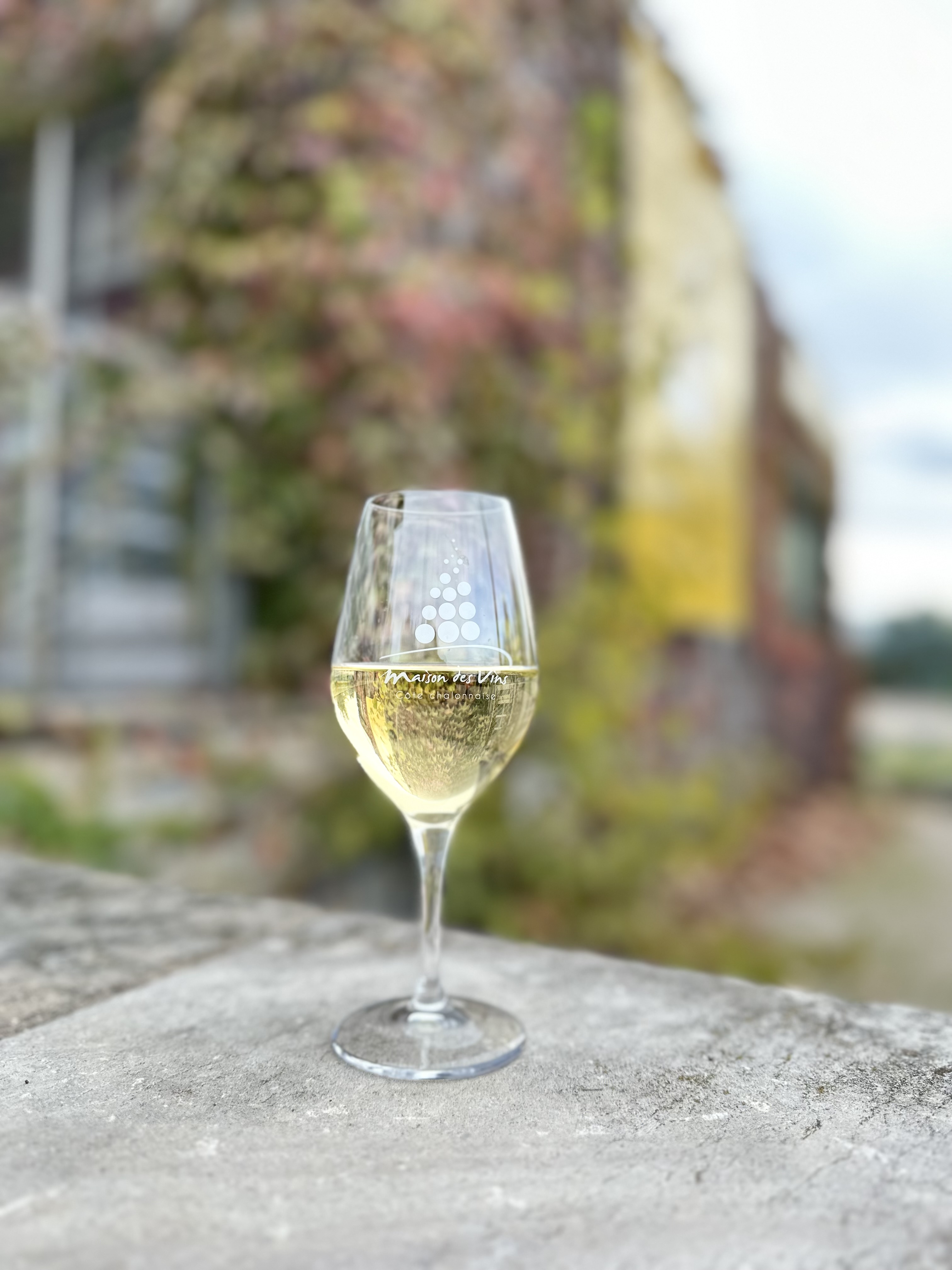 Vin-blanc-mdv-lise