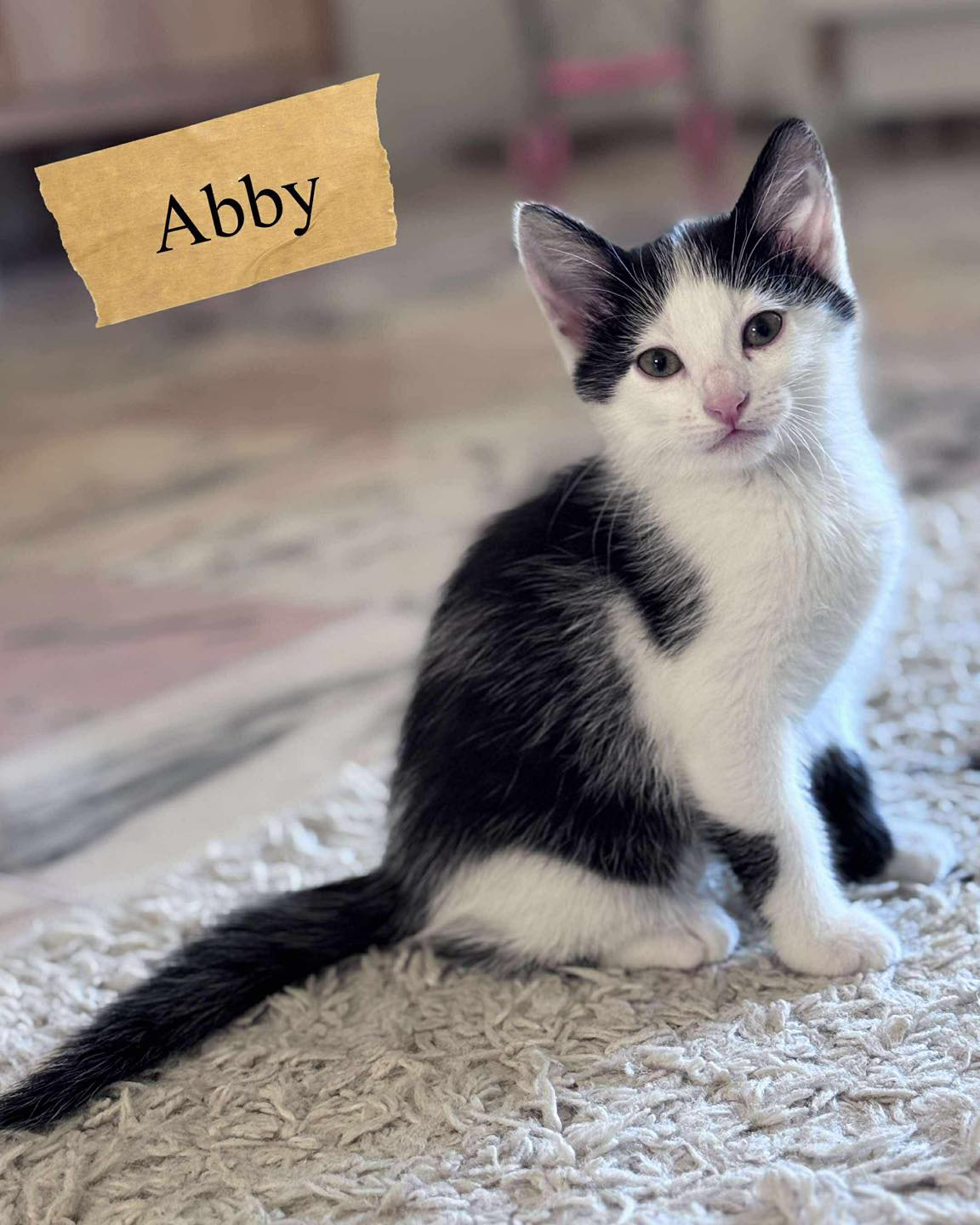 Arya