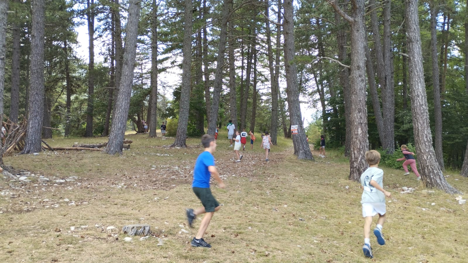 Whatsapp image 2025 07 21 at 16 33 34