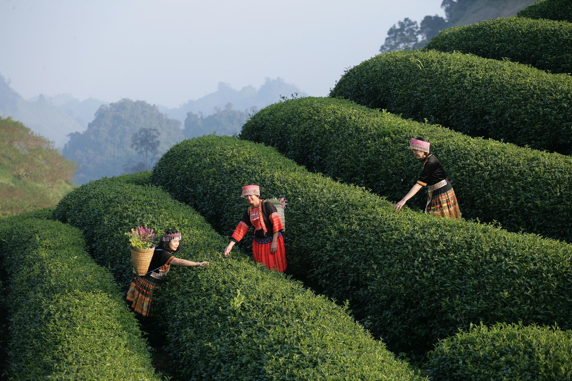 Vietnam
