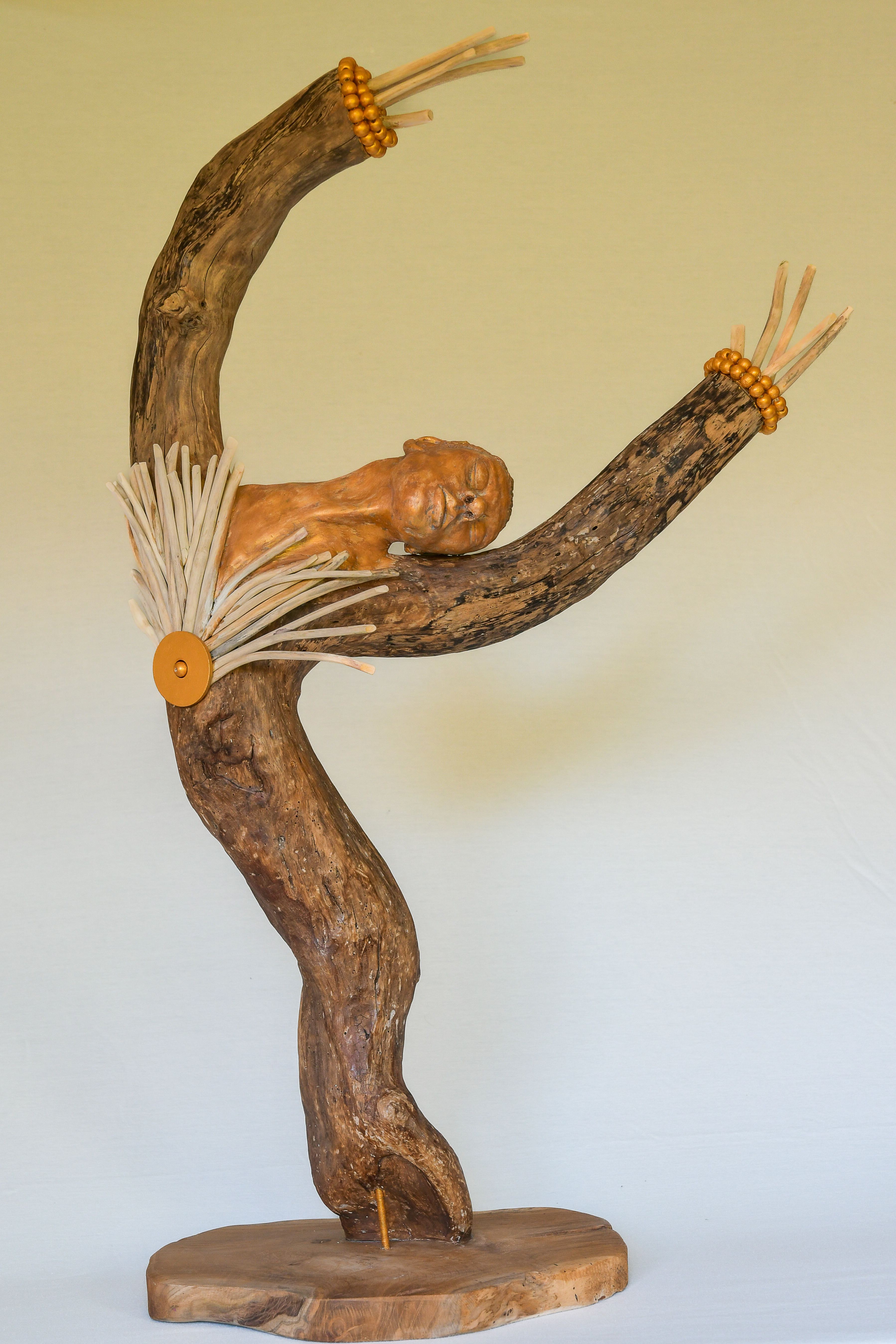 13112022 dsc 5116 copie