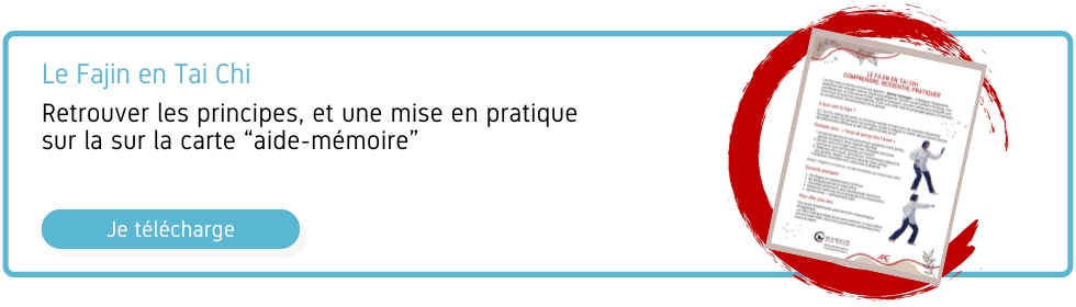Fajin tai chi carte memo artdumieuxetre ame bourgoin