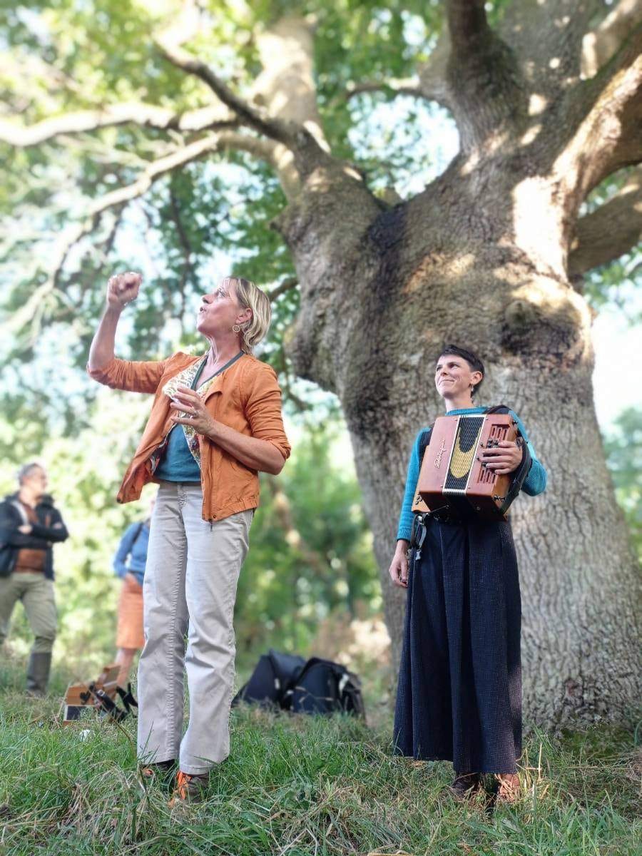 491779414 3134646860020273 46377410698758612 n